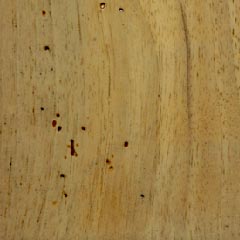 Civico 12 - Special Wood 13