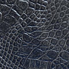 Civico 12 - Leather 101